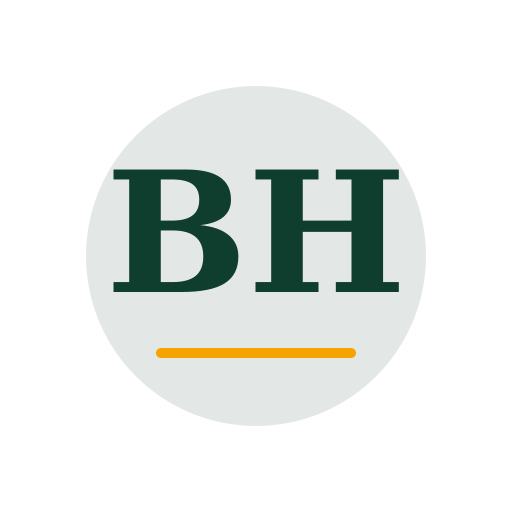 Blue Hills Dryer Cleaning Services logo